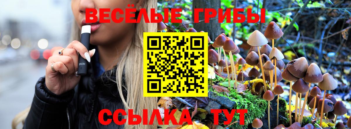 Екатеринбург  Галлюциногенные грибы Magic Shrooms  Вход с VPN 