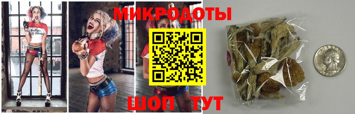 Псилоцибиновые грибы Cubensis Екатеринбург